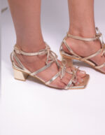 BOWLDLY GOLD - Image 4